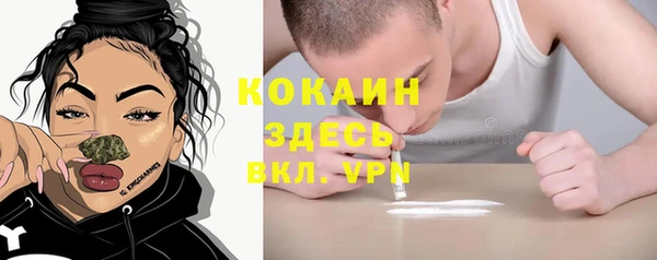 не бодяженный Алексин