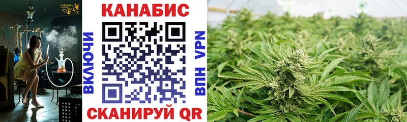 ссылка на мегу онион  Павловская  Каннабис конопля  продажа наркотиков 